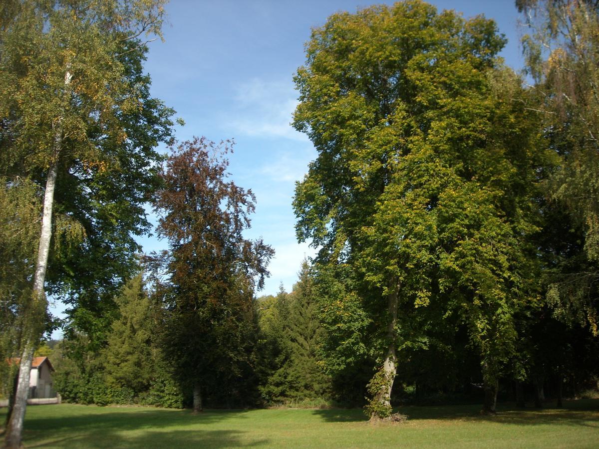 La Maison De Caro Bed and Breakfast Houdelaincourt Esterno foto